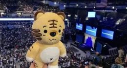 或是最后一场的巴菲特股东大会？老虎证券与投资者一起亲历现场