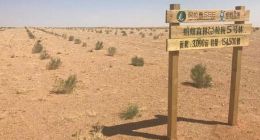 马云：梭梭树就是企业家精神