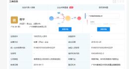 马化腾旗下公司或涉足网约车业务 持股比例为30%