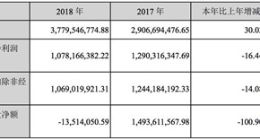 巨人网络2018年净利润10.78亿元 实现三年对赌承诺