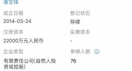 泰然金融再次更新招股书，合作资产端不良率翻一番