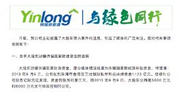 银隆新能源：将进一步调查大股东是否存在其他在公司列支家庭开支的事项