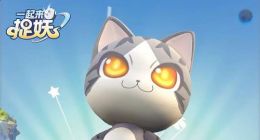 一起来捉妖猫肚皮基因有哪些 猫肚皮基因分享