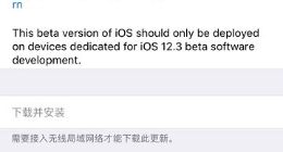 苹果iOS 12.3 Beta 4开发者预览版/公测版更新推送