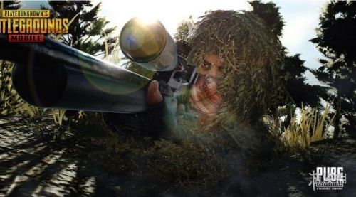 584_2019050483438769