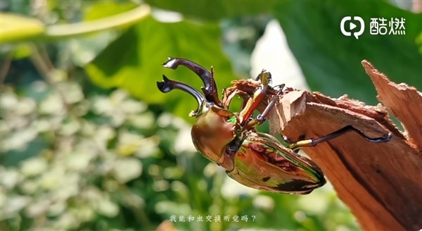 官方放出首部华为P30 Pro拍摄制作的轻科幻CG短片