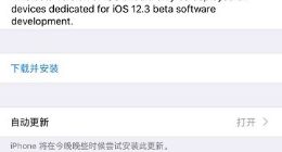 苹果iOS 12.3 Beta 5开发者预览版/公测版更新推送