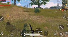 和平精英前五机制介绍 进入前五加分吗？