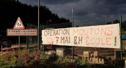 法国小学“亡羊补牢”出新招：让15只绵羊登记入学