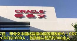 甲骨文不满赔偿：甲骨文创始人曾扬言遏制中国