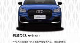 奥迪中国特供电动SUV将于6月上市