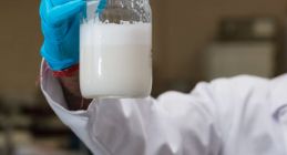 人造奶登场了：更加健康