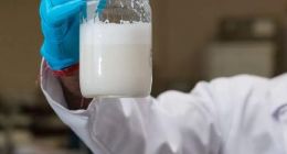 人造肉之后人造奶也登场了 人工造出的奶声称营养更多你敢喝吗？