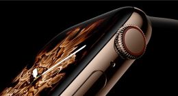 苹果、三星、索尼同获2019年度最佳显示屏奖