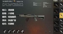 和平精英SKS用什么配件 SKS配件搭配攻略