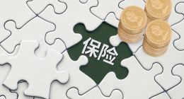 一季度大幅减亏，安心保险做对了什么？