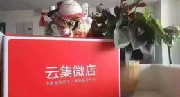 所有人都在学Costco，“凶猛”云集路在哪？