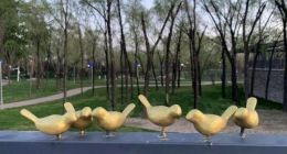 手真欠！世园会里几十只“金色小鸟”被掰走保安贴身守护不管用