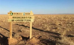 蚂蚁森林的“新敌人”