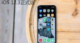 iOS 12.3正式版终于来了：这类用户升级需谨慎！