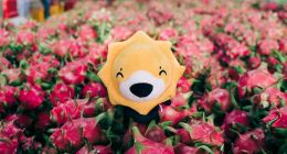 “水果自由”的背后，是苏宁深耕全渠道供应链的赋能力量