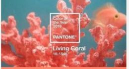 英国经典品牌Mulberry今天宣布正式入驻京东开店