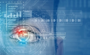 仅用40张图片就能训练视觉模型：CVPR 2019伯克利新论文说了什么？