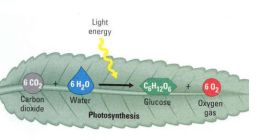 中学生都能看明白 “水氢发动机“是骗局 这是怎么回事？