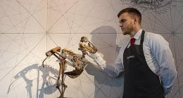 2019北京科技周 果壳带你体验有意思的“科普盛宴”