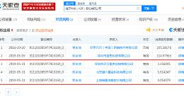 罗永浩出质锤子科技股权给猎豹旗下公司