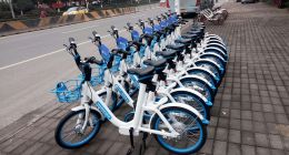 摩拜、哈罗和青桔中标广州2019互联网租赁自行车招标