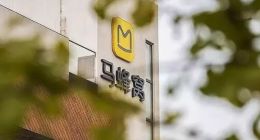 腾讯出钱，同程艺龙出力，马蜂窝商业化有救了？