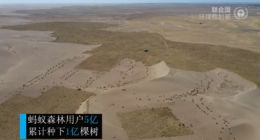 支付宝蚂蚁森林入选2019年世界环境日实践案例