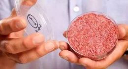 超肉公司上市后首次发布财报 股价暴涨23%