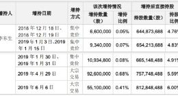 李东生再增持约1.59亿元TCL集团股票