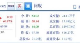 宁德时代解禁9.8亿股限售股 股价收涨0.87%
