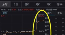 阿里概念股闻风而动