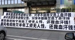 暴风TV多名员工赴总部讨薪