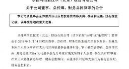 乐视网：公司董事、总经理、财务总监张巍申请辞职