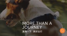 滴滴回应司机冲撞路人：坚决抵制和谴责无视安全行为