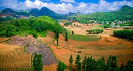 平台推动农业化产业升级，拼多多式的供给侧变革