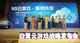 凯撒文化全面转型 联合白鹭科技等布局云游戏