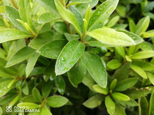 image017