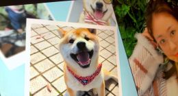 微视全量测试30s朋友圈视频，短视频行业下一个增长点？