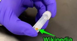 美创企演示新存储技术：16GB维基百科数据写入DNA