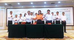 中航锂电新建20GWh项目落户厦门 总投资100亿元