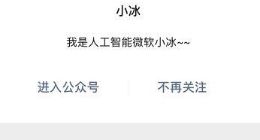 微软小冰公众号因违反规定被停用