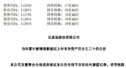 比亚迪累计新增借款138.77亿元 超过上年末净资产20%