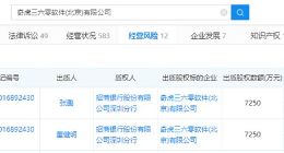 奇虎360全部股权被出质，数额1.45亿元人民币