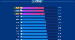2019上半年手机温度榜